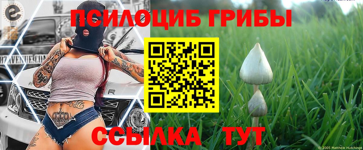Батайск  Псилоцибиновые грибы ЛСД  Вход с VPN 
